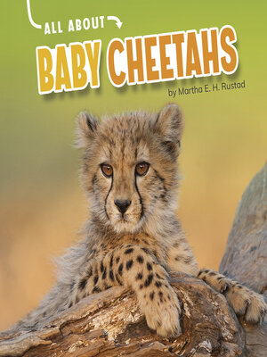 cover image of All About Baby Cheetahs